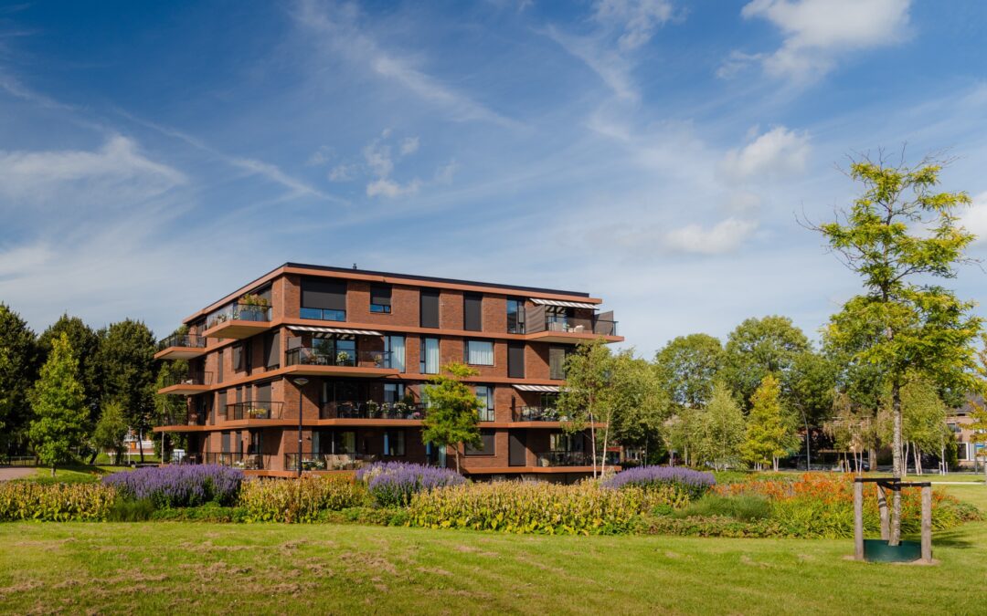 Het Heuvelpark | Een natuurlijke omgeving vlak bij het centrum van Dronten.