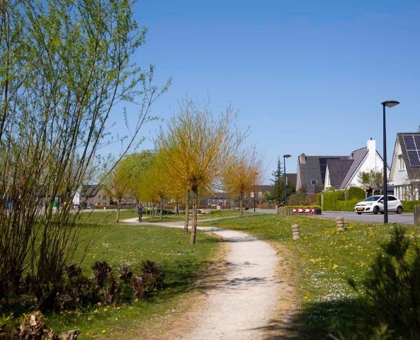 Het Wisentbos is een Natuurlijk Dorpsbos gelegen aan de rand van het dorp Dronten.